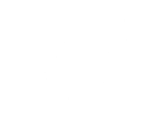 スクールライフ: パリの空の下で