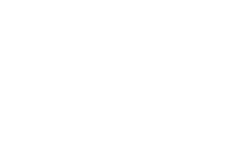 藏海传