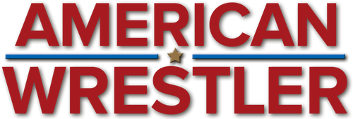 American Wrestler: The Wizard