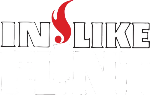 Derek Flint - hart wie Feuerstein