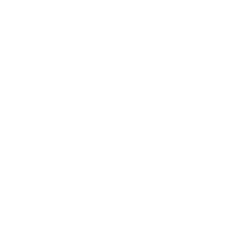 ブルース・リーの神話