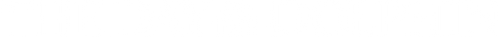 イルカの日