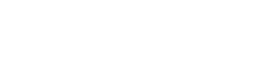 エリアンと魔法の絆