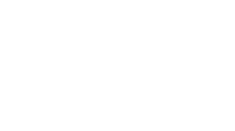 The Wedding Veil Legacy