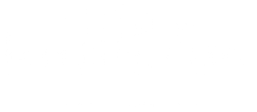 The Twilight Saga: Breaking Dawn - Part 1