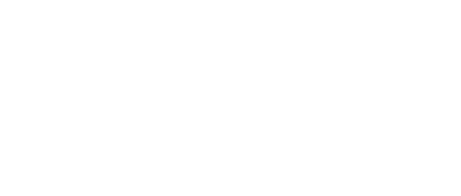Vincent will Meer
