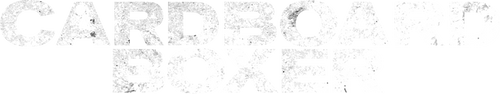 Cardboard Boxer
