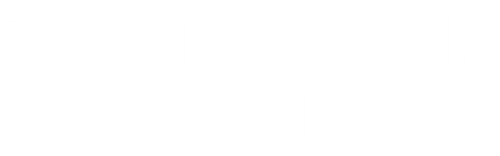 The Director and the Jedi