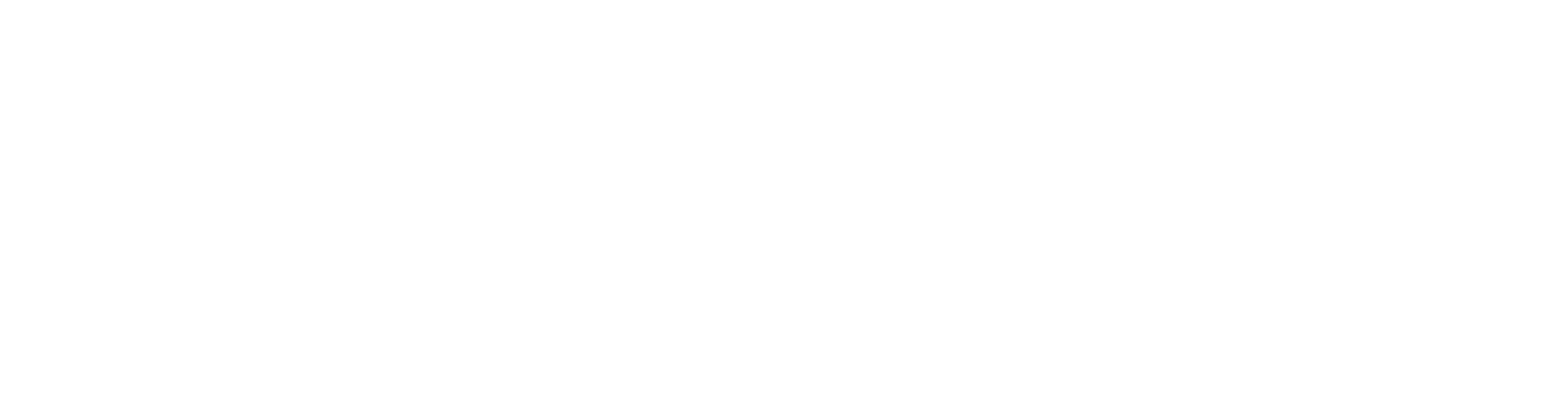Formula 1: La emoción de un Grand Prix