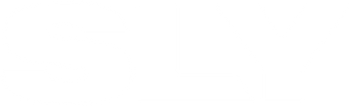 Sly : Stallone par Stallone