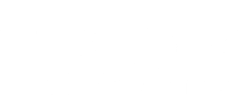 Troy: Fall of a City