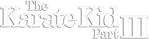 ベスト・キッド3/最後の挑戦