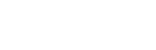 續 姿三四郎