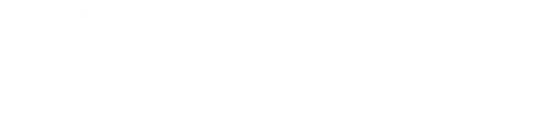 The Snow Sister