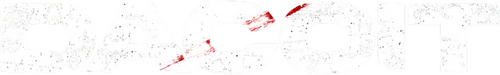 డెకాయిట్