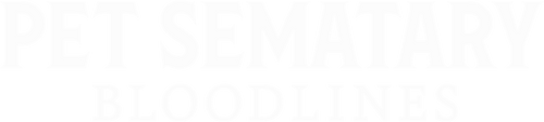 Simetierre : Aux origines du mal