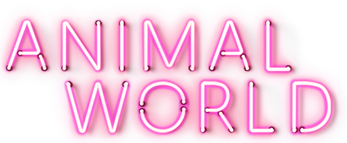 Animal World