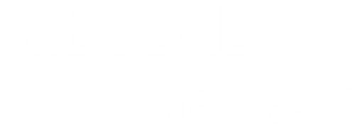 She Devils of the SS