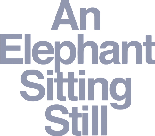 An Elephant Sitting Still