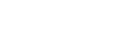 The Remarkable Life of Ibelin