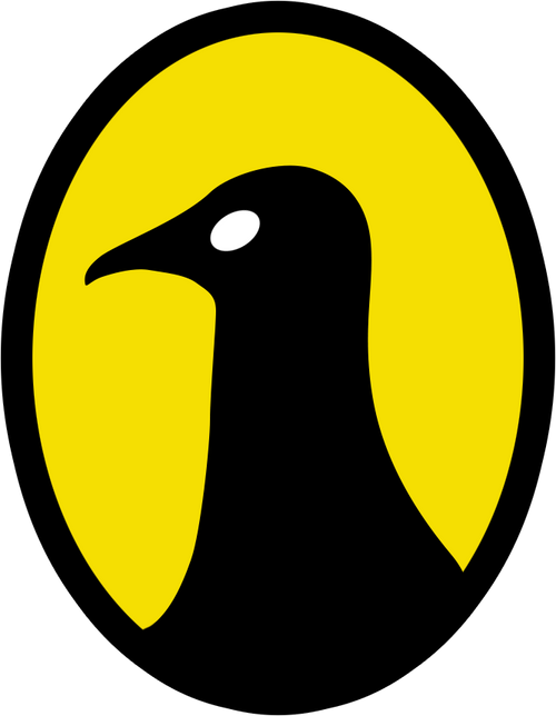 The Raven of Baltimore City