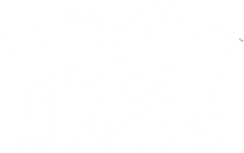 Shaun the Sheep: The Farmer's Llamas