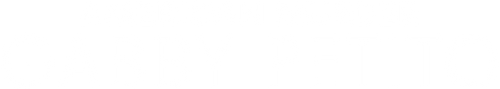 अमेरिकन मर्डर: गैबी पेटीटो