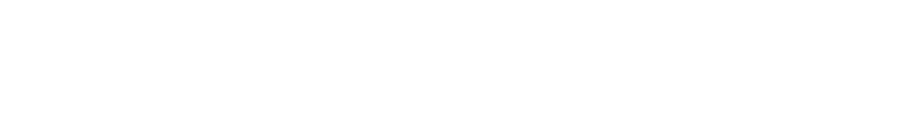 セルダ211