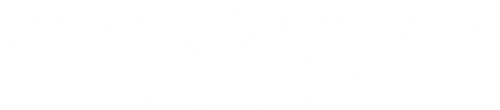Bones Brigade: An Autobiography