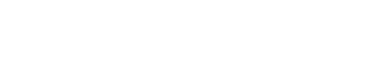 The Secret