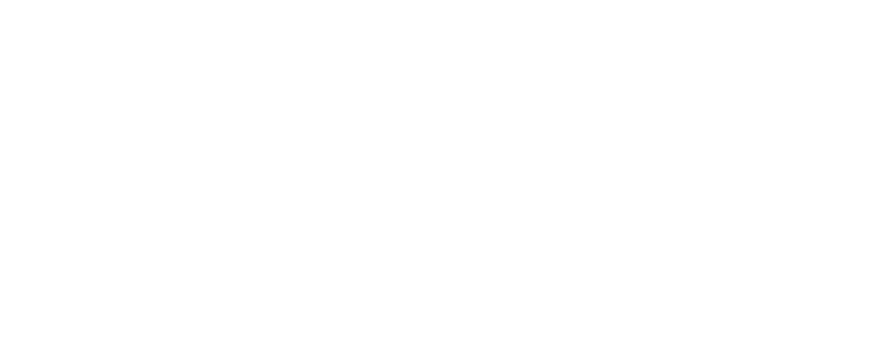 The Guest